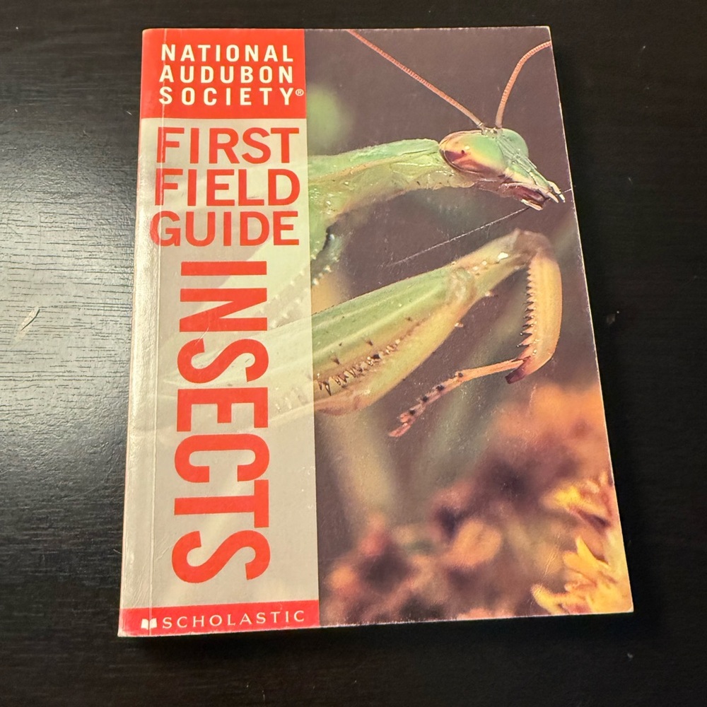First Field Guide: Insects - Green Praying Mantis Cover
